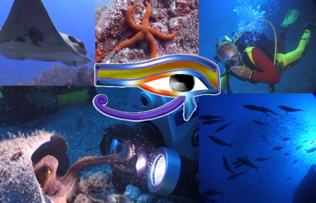 Ocean-Eye underwater camera crew and videography services